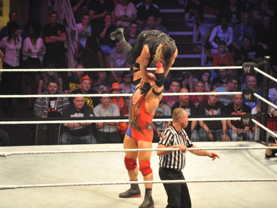 WWE - 2014